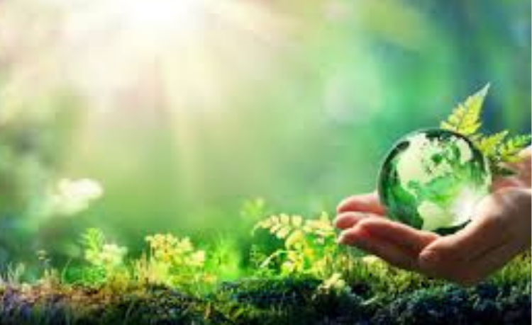 Actualidad ecológica