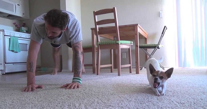 Un perro hace yoga junto a su dueo y se hace famoso en internet