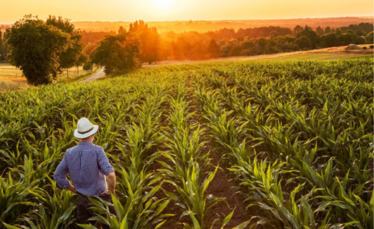 Retenciones cero: la opinión de los productores agropecuarios