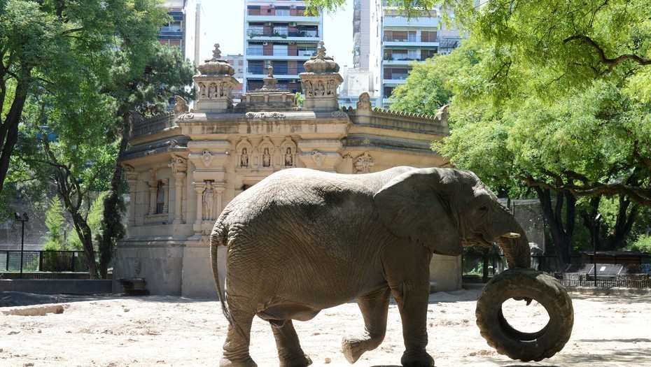 El zoológico de Buenos Aires cerrará por dos años