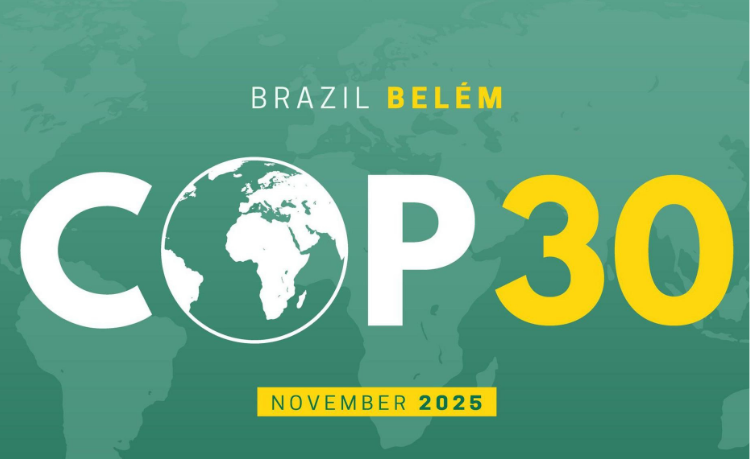 COP 30: la cumbre global del medioambiente