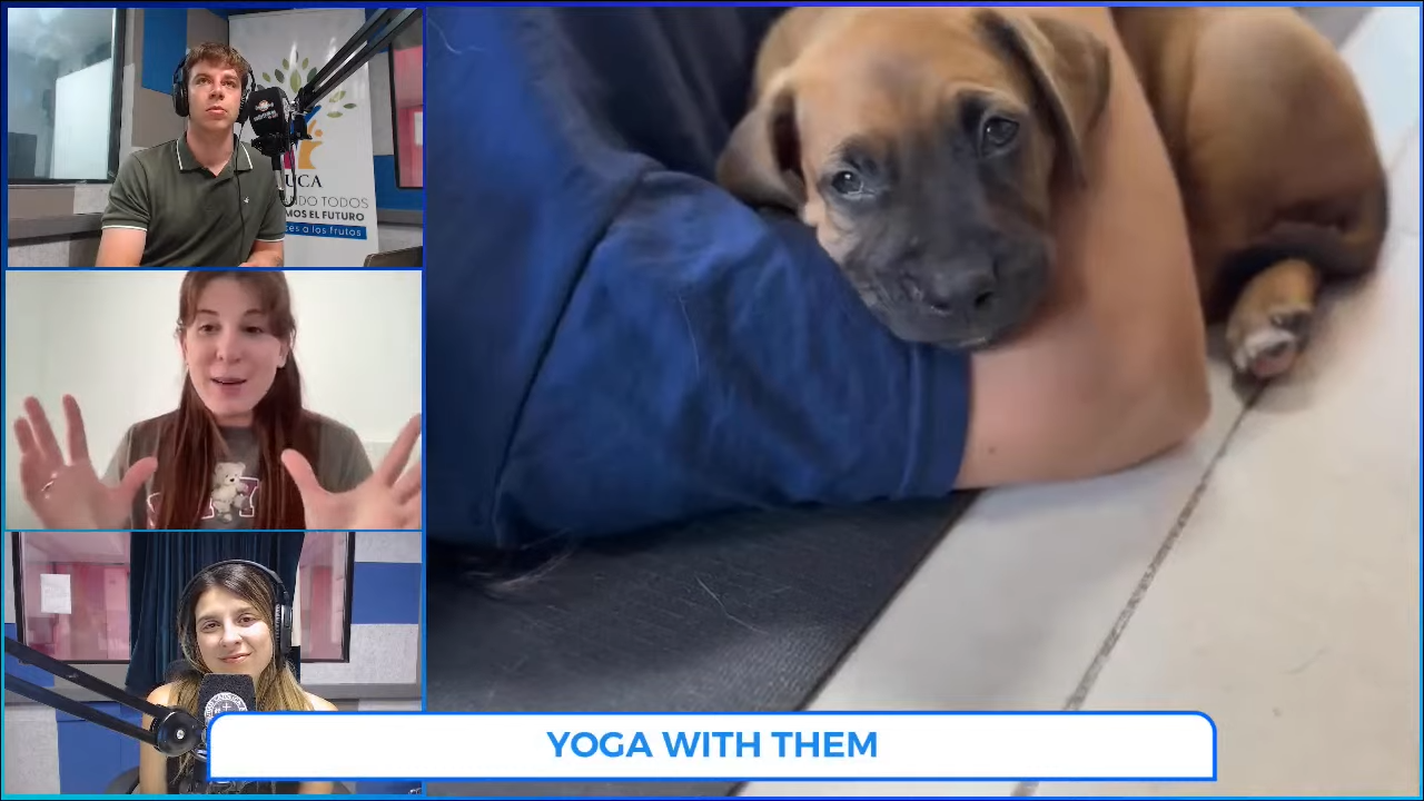 Yoga con perritos