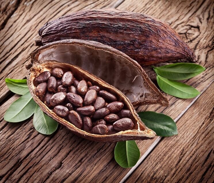 Día Mundial del Cacao