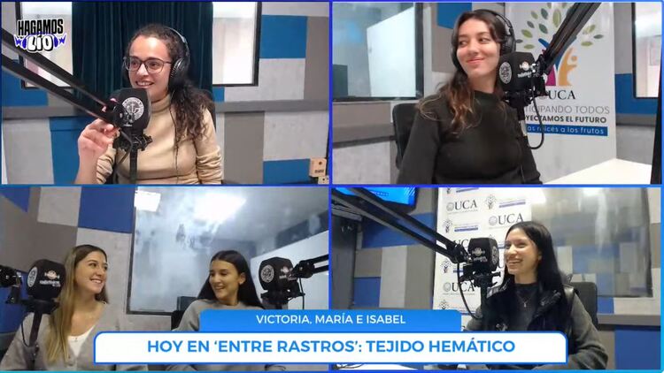 ¿Qué es el Tejido Hemático? 