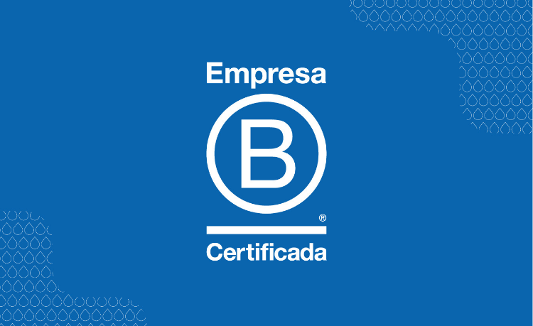 Empresas con sellos eco-friendly 