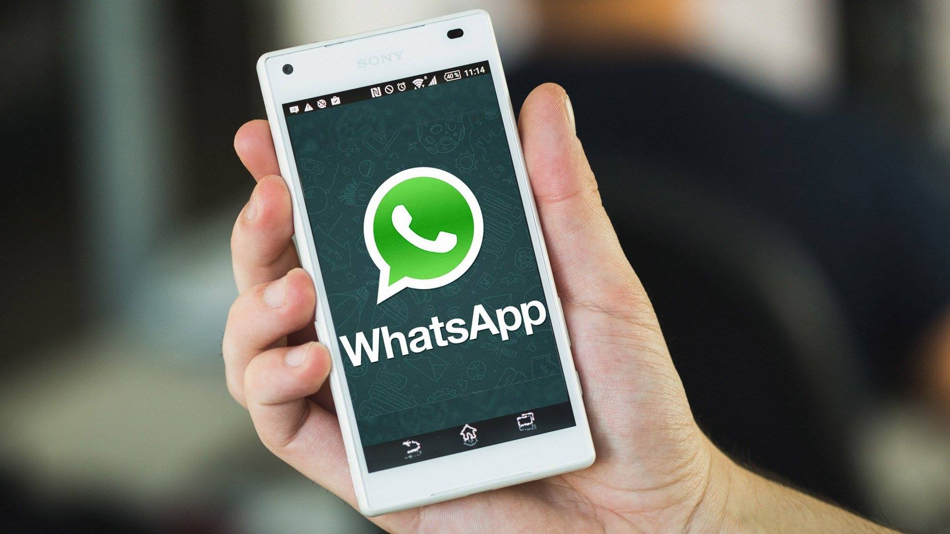 Whatsapp habilitó la posibilidad de intervenir una imagen antes de compartirla con el contacto