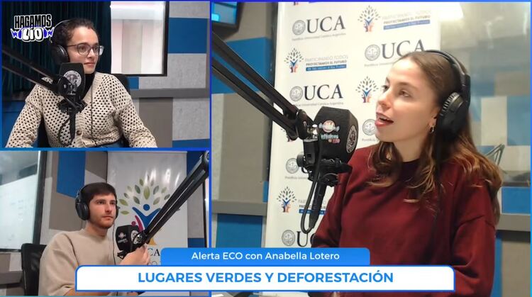 La forestación frente a la desforestación