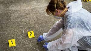 Verdadero y falso criminalístico vol. II